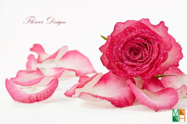 Tranh dán tường phòng ngủ đẹp tại Hà Nội FW - 033